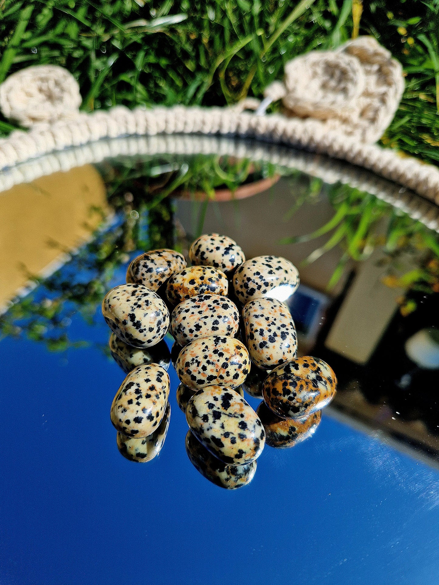 Jaspe Dalmatien