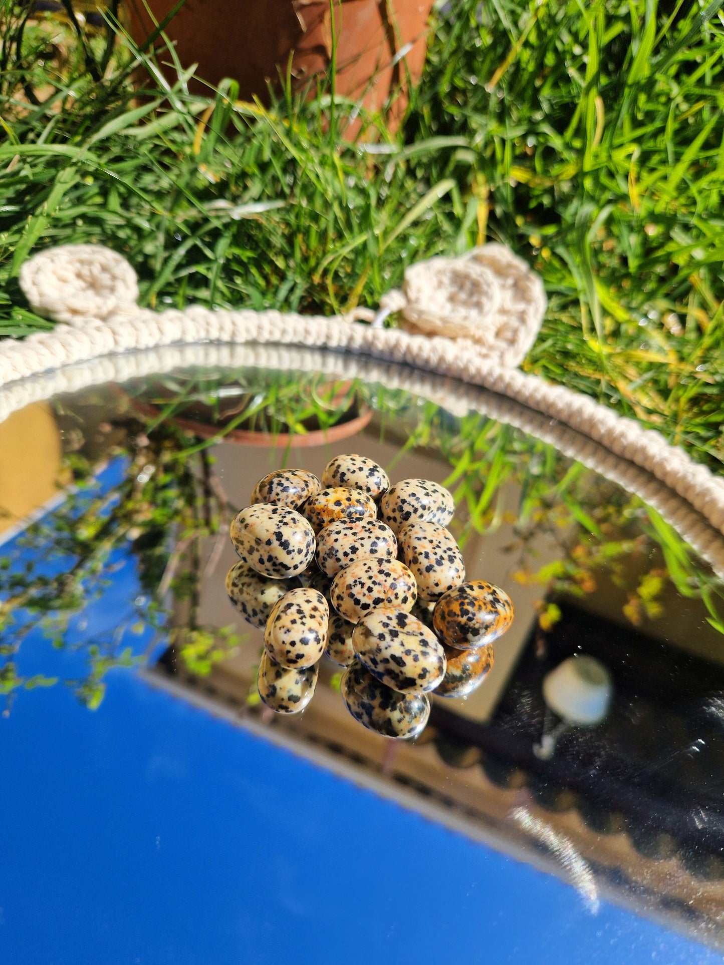 Jaspe Dalmatien